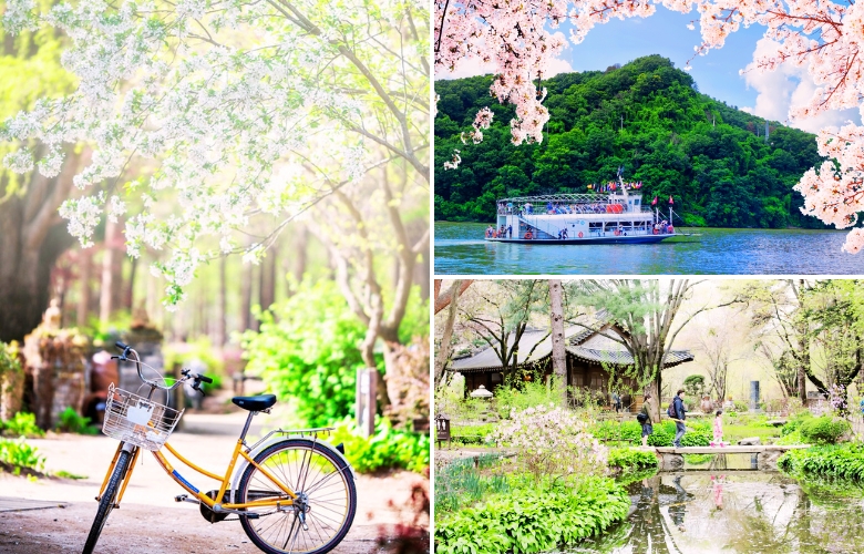 南怡岛春天 (2).jpg